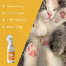 2Pcs/4pcs 100ml Pet Paw Foam Cleaner, For Cleaning, Moisturizing, And Nourishing Cat And Dog Paws.