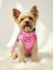 PETSIN Wear Splash Proof Vest And Give Your Beloved Pet A Warm 'little Padded Coat'. Keep The Cold At Bay And Keep Warm. Available In Multiple Colors
