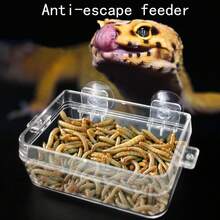 3pcs Durable Anti-Escape Feeding Bowls - Designed For Lizards, Geckos, Chameleons And Insects, Easy To Clean And Maintain