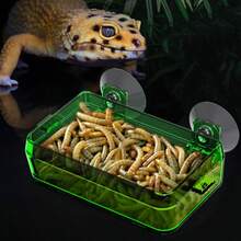 3pcs Durable Anti-Escape Feeding Bowls - Designed For Lizards, Geckos, Chameleons And Insects, Easy To Clean And Maintain