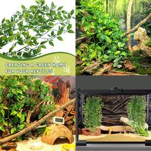 Reptiles Can Climb Vines And Artificial Plants. Soft Jungle Vines Are Handwoven From Parachute Cord. Artificial Decorative Plants Are Hung On Bottles For Snake Enclosures. Leopard Print Gecko Habitat Decor Is Suitable For Chameleons, Crabs, Lizards, Snakes, Geckos, Frogs, And Hermit Crabs.