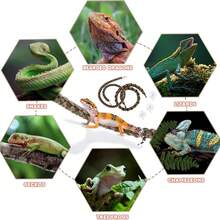 Reptiles Can Climb Vines And Artificial Plants. Soft Jungle Vines Are Handwoven From Parachute Cord. Artificial Decorative Plants Are Hung On Bottles For Snake Enclosures. Leopard Print Gecko Habitat Decor Is Suitable For Chameleons, Crabs, Lizards, Snakes, Geckos, Frogs, And Hermit Crabs.