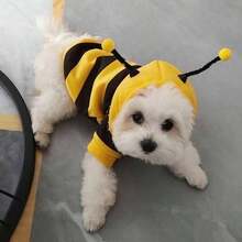 1pc Pet Hoodie, Cute Bee Design, Funny Transformation Sweatshirt For Small Cats & Dogs, Autumn/Winter Pet Clothing With Hood To Prevent Shedding