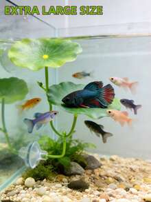 1pc Beta Fish Leaf Hammock, Extra Wide Fish Tank Plant Decor And Resting Bed, Aquarium Decoration Artificial Leaves, Improve Beta Fish Health - Natural, Organic, Comfortable Fish Tank Resting Area