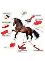 10pcs Horse Grooming Kit, Horse Care Set, Includes Horse Brush, Curry Comb, Hoof Pick, Sweat Scraper For Horse Riding Care