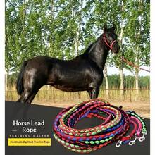 Horse Supplies - Thickened Horse Lead Rope, Large Silver Metal Buckle & Hook, 4-Strand Braided Horse Leash, Pet Leash