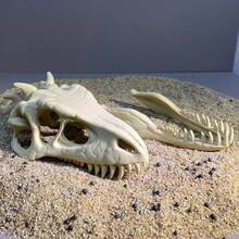 3D Dinosaur Skull Aquarium Decor, Fish Hiding Cave, Reptile Habitat Decoration, Realistic Skull Suitable For Fish Tank And Aquatic Plant Landscape