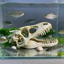 3D Dinosaur Skull Aquarium Decor, Fish Hiding Cave, Reptile Habitat Decoration, Realistic Skull Suitable For Fish Tank And Aquatic Plant Landscape