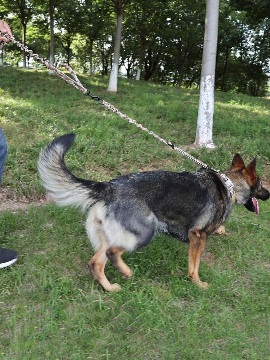 Kamuflažni taktički set za kućne ljubimce za srednje/male pse
