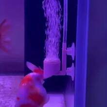 Ultra-High Density Nano Bubble Air Pump Accessories For Aquarium - Enhances Fish Health And Aesthetics, Suitable For Small To Medium Aquariums