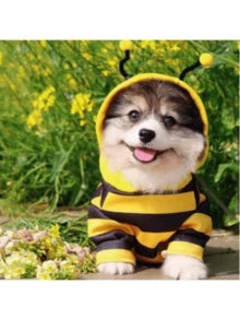 1pc Pet Hoodie, Cute Bee Design, Funny Transformation Sweatshirt For Small Cats & Dogs, Autumn/Winter Pet Clothing With Hood To Prevent Shedding