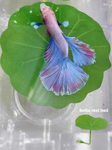 1pc Small Betta Fish Leaf Hammock, Extra Wide Fish Tank Plant Decor & Resting Bed, Aquarium Decor Fake Leaves, Improve Betta Health - Natural, Organic, Comfortable Fish Tank Resting Area