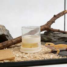 1pc Mini Automatic Water Refilling Device, Suitable For Lizards, Geckos And Other Reptiles, Automatic Water Refill Without Frequent Refilling, Applicable For All Reptile Terrariums, Ideal For Geckos, Lizards, Chameleons And Small Reptiles