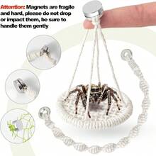 1pc Magnetic Jumping Spider Bridge, Mini House, Small Pet Hammock, Flexible Magnetic Design, Rope Net Structure Meets Climbing Instinct, Compact Shape Suitable For Breeding Environment, Applicable For Jumping Spiders, Crabs And Other Small Pets