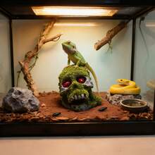 1pc Resin Flocked Skull Aquarium Decor - Fish Tank Supplies & Reptile Cave Ornament For Bearded Dragon, Snake, Spider, Scorpion, Gecko - Aquarium Decor, Fish Supplies, Reptile Stuff, Bearded Dragon Supplies, Snake Enrichment - Ideal For Fish Tank Stuff, Reptile Terrarium, Gecko Supplies