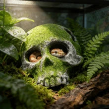 1pc Resin Flocked Skull Aquarium Decor - Fish Tank Supplies & Reptile Cave Ornament For Bearded Dragon, Snake, Spider, Scorpion, Gecko - Aquarium Decor, Fish Supplies, Reptile Stuff, Bearded Dragon Supplies, Snake Enrichment - Ideal For Fish Tank Stuff, Reptile Terrarium, Gecko Supplies