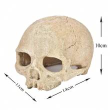 1pc Resin Flocked Skull Aquarium Decor - Fish Tank Supplies & Reptile Cave Ornament For Bearded Dragon, Snake, Spider, Scorpion, Gecko - Aquarium Decor, Fish Supplies, Reptile Stuff, Bearded Dragon Supplies, Snake Enrichment - Ideal For Fish Tank Stuff, Reptile Terrarium, Gecko Supplies