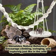 1pc Magnetic Jumping Spider Bridge, Mini House, Small Pet Hammock, Flexible Magnetic Design, Rope Net Structure Meets Climbing Instinct, Compact Shape Suitable For Breeding Environment, Applicable For Jumping Spiders, Crabs And Other Small Pets