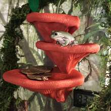 Suction Cup Mushroom Rack Climbing Platform, Multi-Layer Climbing Perch, Lizard Frog Sunbathing Platform, Aquarium Fish Play Area Decor, Reptile Hiding Habitat, Pet Terrarium Landscaping, Suitable For Geckos, Turtles, Frogs, Lizards