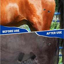 Equestrian Supplies Summer Anti-Mosquito Anti-Fly Bites Horse Mesh Breathable Adjustable Horse Clothing