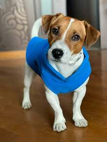 1pc Customizable Pet Hoodie With Leash Ring, Soft & Comfortable Autumn/Winter Small Dog Vest, Suitable For Poodle, Yorkshire Terrier, Chihuahua And Other Small Breeds, Warm & Cozy Dog Clothing For Winter