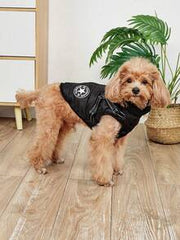 1pc Leather Belt Small Dog Jacket Vest, Cotton Winter Warm Small Dog Clothes, Comfortable And Stain Resistant