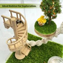 Magnetic Base Jumping Spider Climbing Spiral Staircase, Spider Climbing Ladder, Hermit Crab Habitat Decor