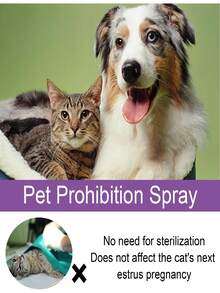 YEGBONG 1pc/50ml/60ml Pet Cat Calming Spray, Gentle Formula To Relieve Scratching, Urine Marking Behavior, Quickly Soothes Cat's Emotions And Reduces Stress And Anxiety, Spray On Cat's Environment And Objects