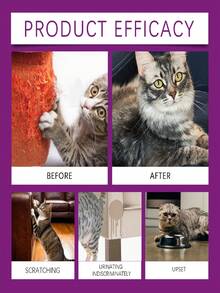 YEGBONG 1pc/50ml/60ml Pet Cat Calming Spray, Gentle Formula To Relieve Scratching, Urine Marking Behavior, Quickly Soothes Cat's Emotions And Reduces Stress And Anxiety, Spray On Cat's Environment And Objects