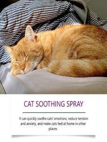 YEGBONG 1pc/50ml/60ml Pet Cat Calming Spray, Gentle Formula To Relieve Scratching, Urine Marking Behavior, Quickly Soothes Cat's Emotions And Reduces Stress And Anxiety, Spray On Cat's Environment And Objects