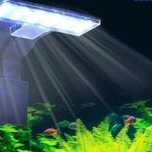 1pc Fish Tank Light, Aquarium Light - USB Powered, 10 Brightness Levels And 3 Lighting Modes - Suitable For Freshwater/Saltwater Fish Tanks, Aquarium Lighting, Aquatic Plants And Underwater Landscape, For Aquarium Hobbyists