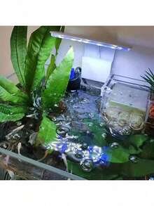 1pc Fish Tank Light, Aquarium Light - USB Powered, 10 Brightness Levels And 3 Lighting Modes - Suitable For Freshwater/Saltwater Fish Tanks, Aquarium Lighting, Aquatic Plants And Underwater Landscape, For Aquarium Hobbyists