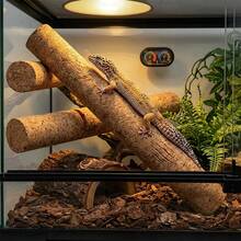 1pc Natural Soft Wood Climbing Stick, Suitable For Reptiles, Arboreal Lizards, Geckos, Chameleons, And Horned Lizards, Decor For Reptile Habitats