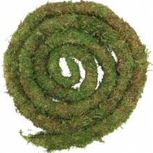 Artificial Moss Vine For Reptiles, Bendable Climbing Vines Reptile Tank Accessories, Moss Rope For Leopard Gecko, Lizard, Snake, Chameleon, Frog Terrarium Decor (Jungle Green, )