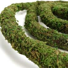 Artificial Moss Vine For Reptiles, Bendable Climbing Vines Reptile Tank Accessories, Moss Rope For Leopard Gecko, Lizard, Snake, Chameleon, Frog Terrarium Decor (Jungle Green, )