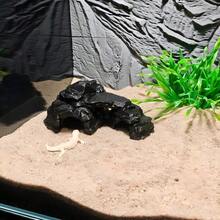 3D Printed/Resin Rock Cave Hideout - Amphibian And Reptile Shelter | Realistic Stone Texture For Aquarium, Lizard And Turtle Terrarium