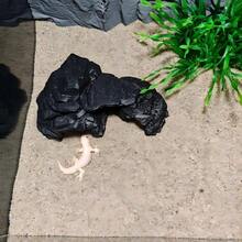 3D Printed/Resin Rock Cave Hideout - Amphibian And Reptile Shelter | Realistic Stone Texture For Aquarium, Lizard And Turtle Terrarium