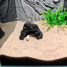 Turtle And Fish Co-Habitat Basking Platform, Turtle Basking Ramp, Climbing Ladder, Fish Tank Hiding Cave, Climbing Slope, Reptile Rock Shelter, Lizard And Snake Habitat, Turtle Climbing Platform, Gecko And Snake Shelter, Suitable For Breeding Enclosure And Aquarium Decor