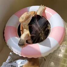 1 Set Inflatable Turtle Swimming Ring, Turtle Floating Platform Toy, Small Animal Swimming Ring & Sunbathing Rest Platform - Suitable For Sea Turtles And Tortoises