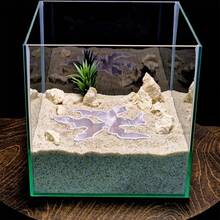 3D Printed Underwater Cave Decor With Small Fish & Shrimp, Hiding & Viewing Aquarium Ornament, Simple Aquarium Landscape Setup For Freshwater, Saltwater & Reptile Tanks