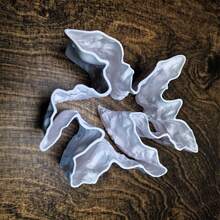 3D Printed Underwater Cave Decor With Small Fish & Shrimp, Hiding & Viewing Aquarium Ornament, Simple Aquarium Landscape Setup For Freshwater, Saltwater & Reptile Tanks