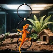 1pc Climbing Ring For Reptiles - Climbing Rope Ladder Toy, Hanging Exercise Perch, Enrichment Toy For Corn Snakes, Climbing Accessory For Snakes, Lizards, Chameleons, Geckos, And Parrots, Hideaway For Reptile Owners And Enthusiasts, Independence Day/Birthday Gift