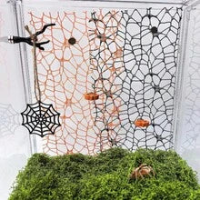 7pcs/Set Creative Jumping Spider & Pumpkin Shaped Platform With Hiding Place, Jumping Spider Climbing Resting Platform, Jumping Spider Habitat Accessories, Agave Prayer Ant Shell Accessories, Jumping Spider Accessories/Movable/Perfect Habitat Decor For Spiders And Insects, Terrarium Accessories