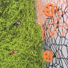 7pcs/Set Creative Jumping Spider & Pumpkin Shaped Platform With Hiding Place, Jumping Spider Climbing Resting Platform, Jumping Spider Habitat Accessories, Agave Prayer Ant Shell Accessories, Jumping Spider Accessories/Movable/Perfect Habitat Decor For Spiders And Insects, Terrarium Accessories
