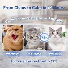 Pop Patch For Cat Calming Diffuser, Cat Anxiety Relief Stress Reduction, Cat Calming Pheromones Help Anxiety, Enhanced Calming, Cat Calming Patches For Travel, Car & Home Use