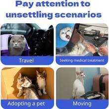 Pop Patch For Cat Calming Diffuser, Cat Anxiety Relief Stress Reduction, Cat Calming Pheromones Help Anxiety, Enhanced Calming, Cat Calming Patches For Travel, Car & Home Use
