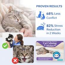 Pop Patch For Cat Calming Diffuser, Cat Anxiety Relief Stress Reduction, Cat Calming Pheromones Help Anxiety, Enhanced Calming, Cat Calming Patches For Travel, Car & Home Use