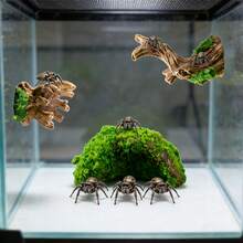 3pcs Artificial Hollow Tree Branch Climbing Habitat, Suitable For Reptiles - Multi-Layer Tree-Like Platform With Hiding Spots, Ideal For Jumping Spiders, Hermit Crabs And Other Crawling Animals, Provides Climbing And Resting Functions, Suitable For Reptile Tanks, Aquariums And Insect Habitats Decoration.