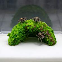 3pcs Artificial Hollow Tree Branch Climbing Habitat, Suitable For Reptiles - Multi-Layer Tree-Like Platform With Hiding Spots, Ideal For Jumping Spiders, Hermit Crabs And Other Crawling Animals, Provides Climbing And Resting Functions, Suitable For Reptile Tanks, Aquariums And Insect Habitats Decoration.
