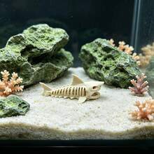 Miniature Plastic Shark Aquarium Decor, Suitable For Fish Tanks And Reptile Terrariums - Shark Theme Multi-Chamber Hide Cave Ornament, Applicable For Betta Fish, Reptile Habitats, Plastic Shark Skeleton